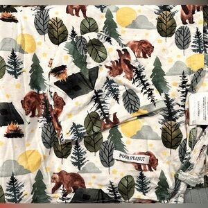 Posh peanut swaddle and hat set